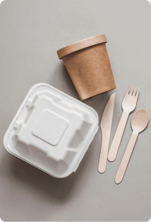 Disposable Foodservice & Hygiene Supplies